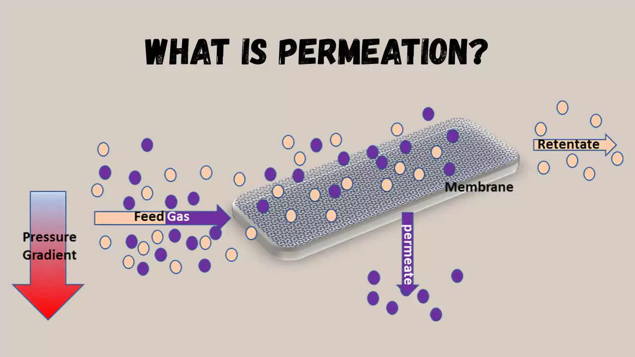 What is Permeation