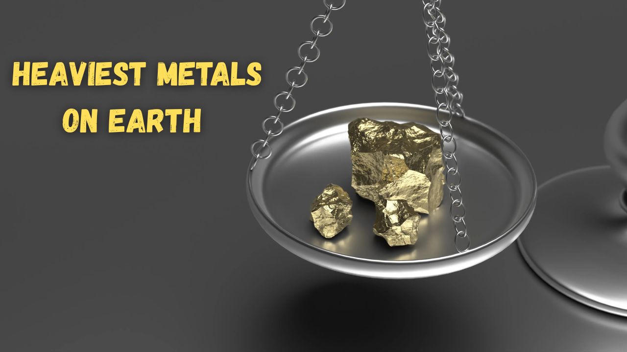 What is the heaviest metals on earth according to density and atomic weight?
