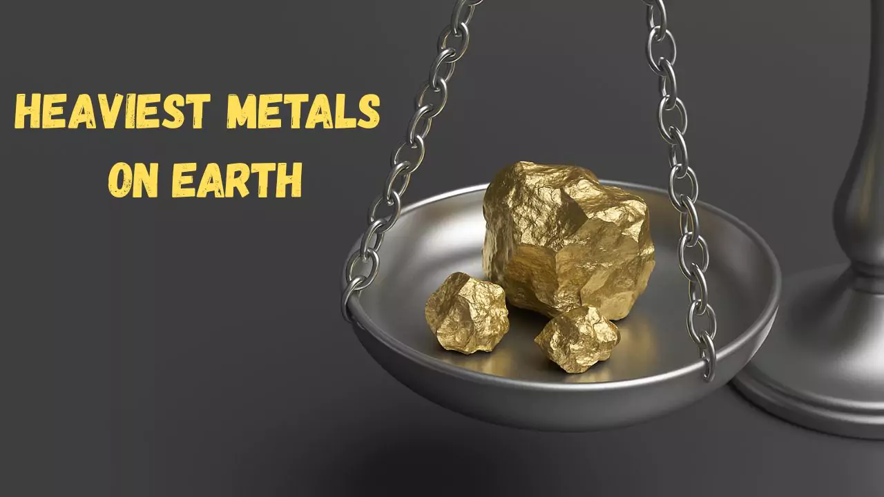 What is the heaviest metals on earth