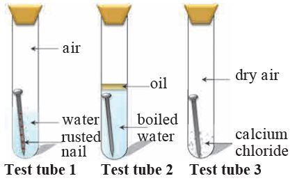 Iron and steel rust when they come into contact with water and oxygen both are needed for rusting to occur.