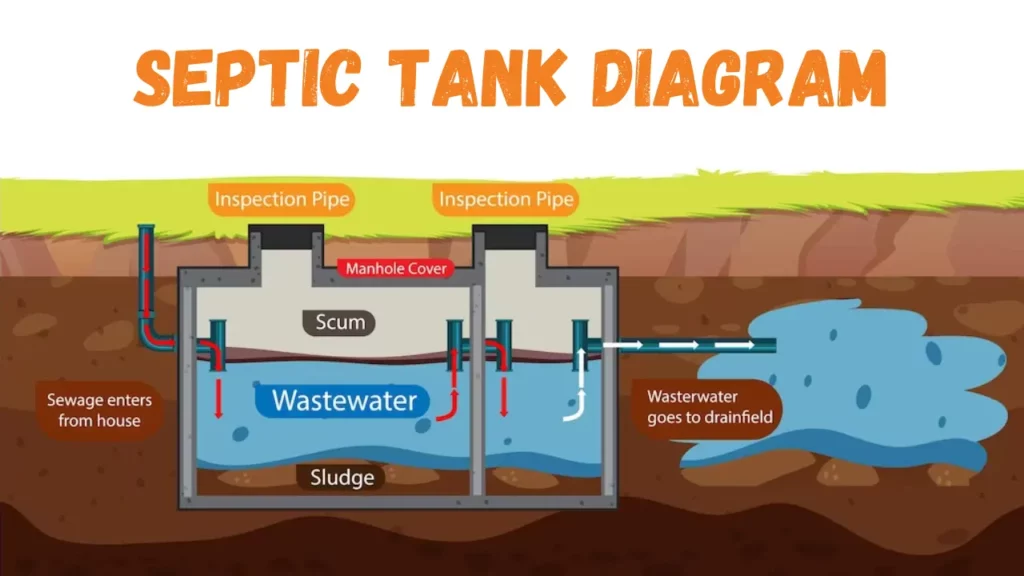 septic tank diagram